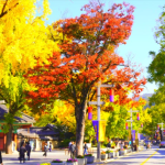 전주 가볼만한곳 BEST – 전동성당부터 한옥마을까지 가을 여행 코스