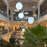 양주 신상 대형카페 🌿 포토존 가득한 식물원 느낌의 하패리61