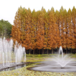 충북 청주 가볼만한곳 – 청남대 단풍 & 대청호 드라이브로 떠나는 황금빛 가을 여행