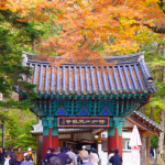 전북 부안 가볼만한곳 – 내소사 단풍 & 변산반도 국립공원 가을 산책