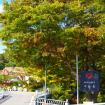 양평 가볼만한곳 유럽감성나는 카페추천