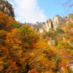 단풍 명소 여행 5곳 11월에 가기 좋은 곳