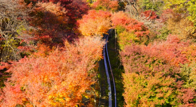 경기도 가볼만한곳 BEST5 화담숲 서울근교 여행코스
