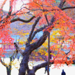 충남 공주 마곡사 단풍 여행가을에 걷기 좋은 사찰 산책 코스