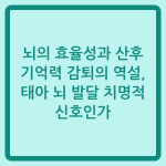 Read more about the article 뇌의 효율성과 산후 기억력 감퇴의 역설, 태아 뇌 발달 치명적 신호인가
