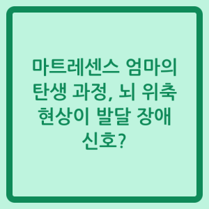 Read more about the article 마트레센스 엄마의 탄생 과정, 뇌 위축 현상이 발달 장애 신호?