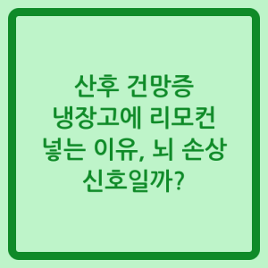 Read more about the article 산후 건망증 냉장고에 리모컨 넣는 이유, 뇌 손상 신호일까?