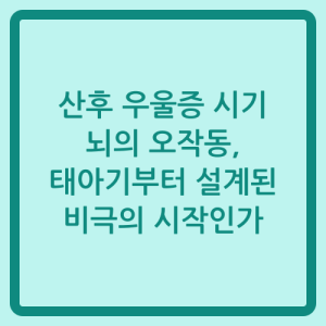 Read more about the article 산후 우울증 시기 뇌의 오작동, 태아기부터 설계된 비극의 시작인가