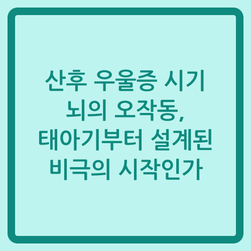 You are currently viewing 산후 우울증 시기 뇌의 오작동, 태아기부터 설계된 비극의 시작인가