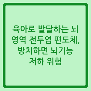 Read more about the article 육아로 발달하는 뇌 영역 전두엽 편도체, 방치하면 뇌기능 저하 위험
