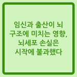 Read more about the article 임신과 출산이 뇌 구조에 미치는 영향, 뇌세포 손실은 시작에 불과했다