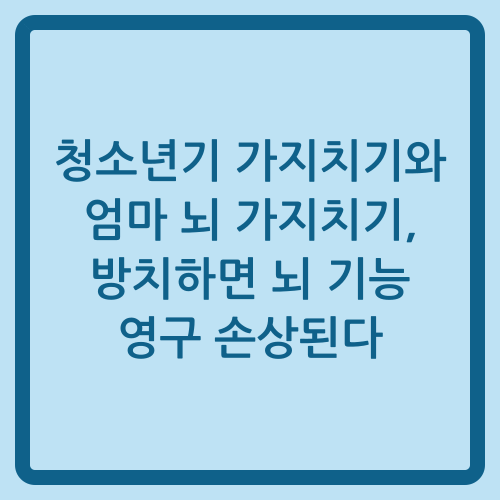 You are currently viewing 청소년기 가지치기와 엄마 뇌 가지치기, 방치하면 뇌 기능 영구 손상된다