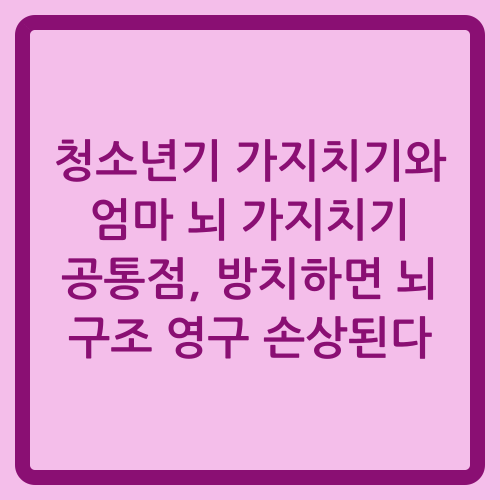 You are currently viewing 청소년기 가지치기와 엄마 뇌 가지치기 공통점, 방치하면 뇌 구조 영구 손상된다